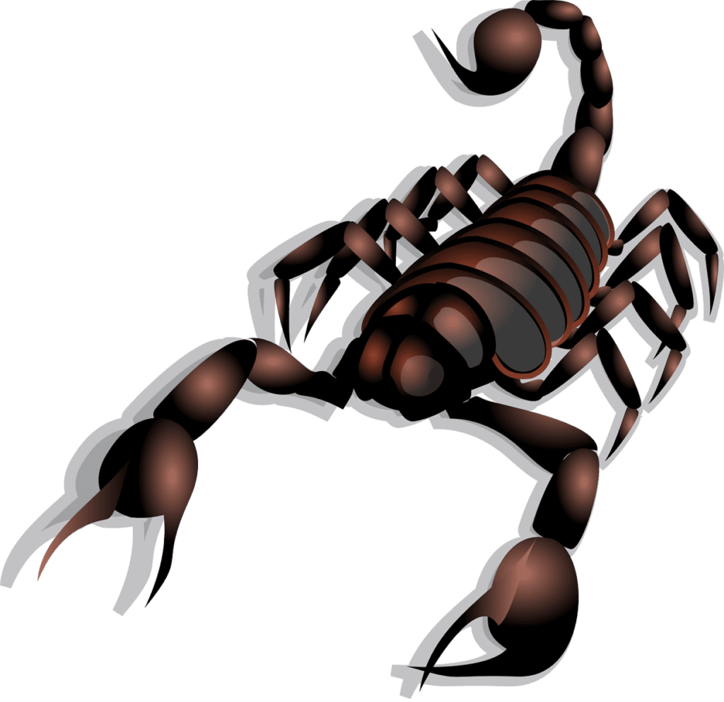 3 Levels of Scorpio: The Scorpion Phoenix (or unevolved Scorpio)